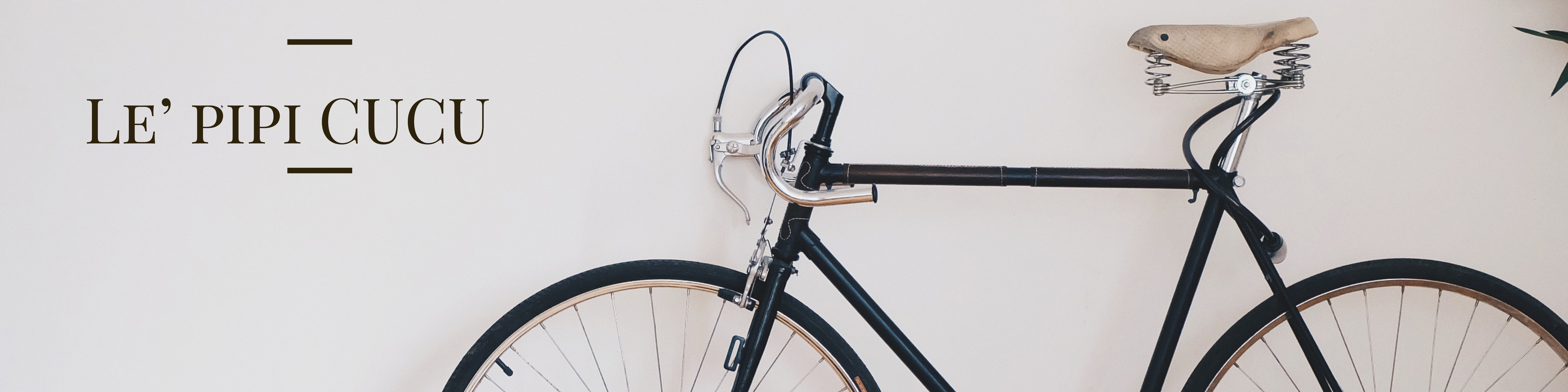 Descubre el pasado con estilo, cada pieza tiene una historia que contar